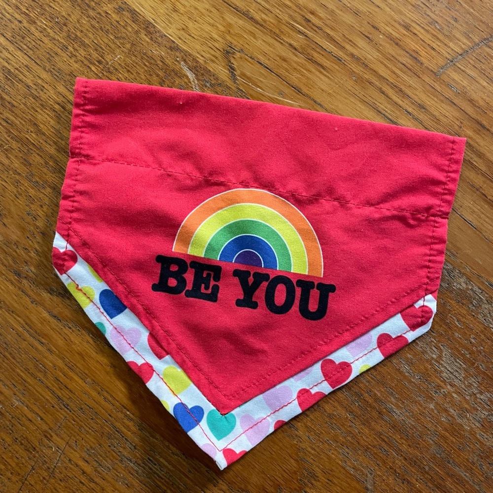 Red Rainbow Be You Small Dog Bandana